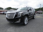2019 Cadillac Escalade Platinum Edition
