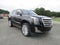 2019 Cadillac Escalade Platinum Edition